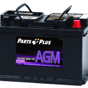 Batería Parts Plus AGM AP48